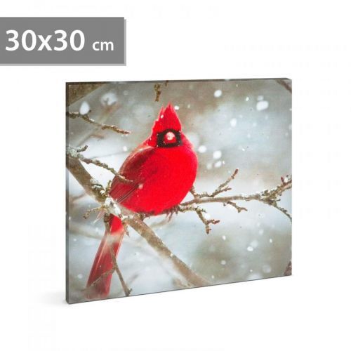 LED obraz - kardinál červený - 30 x 30 cm