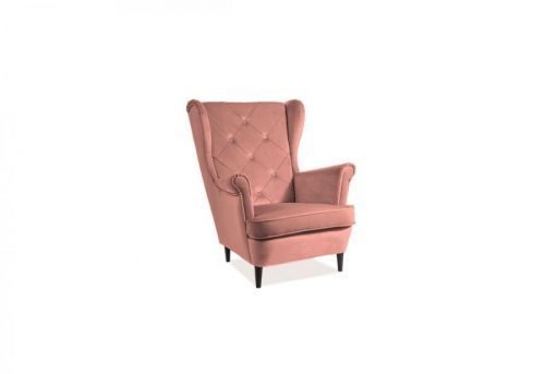 Expedo Kreslo GIRET VELVET, 81x101x85, bluvel 52