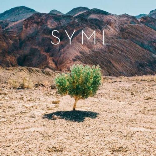 SYML - IN MY BODY, Vinyl
