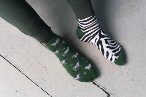 Ponožky Zebra 079-A059 Zelená - Viac 39-42
