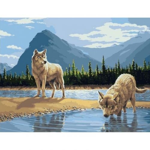 780409 NORIMPEX 5D Diamantová mozaika - Vlci pri napájadle
