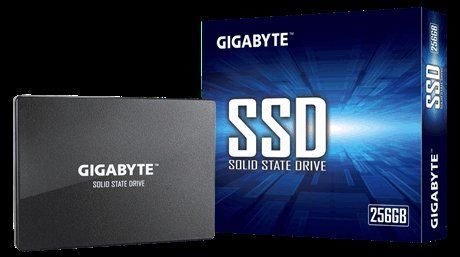 Gigabyte SSD 256 GB GP-GSTFS31256GTND