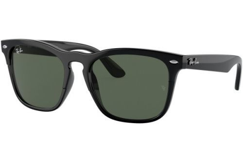 Ray-Ban Steve RB4487 662971 - ONE SIZE (54)