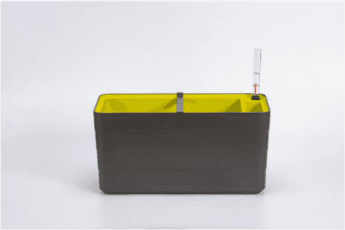 Plastia Truhlík Berberis sivá + zelená 40 cm