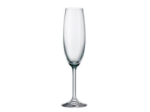 MAKRO - Pohár Colibri 6ks 220 ml