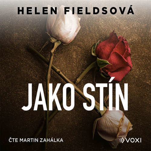 Jako stín - Helen Fieldsová (mp3 audiokniha)
