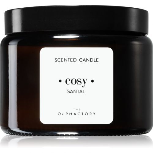 Ambientair Olphactory Santal vonná sviečka (brown) Cosy 360 g