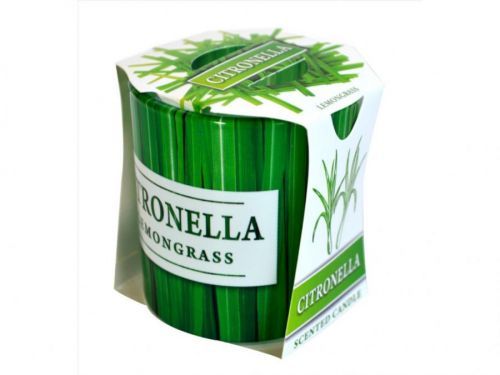 MAKRO - Sviečka v skle Citronella