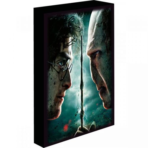 Obraz LED svietiace 30x40, Harry potter -Harry vs. Voldemort