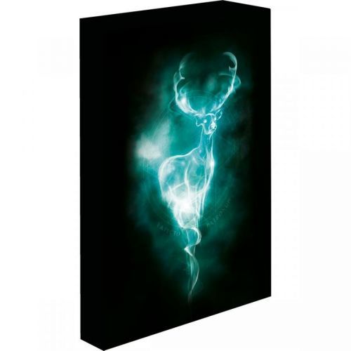 Obraz LED svietiaci 30x40, Harry potter - Patron