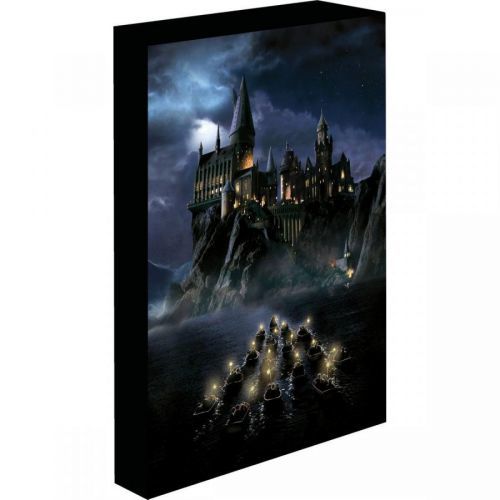 Obraz LED svietiaci 30x40, Harry potter - Bradavice