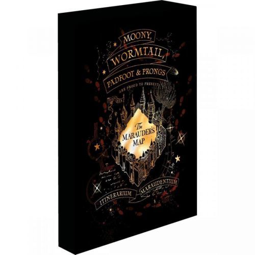 Obraz LED svietiaci 30x40, Harry potter - Záškodnícku mapu