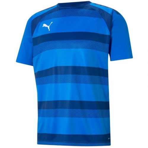 Pánske tričko Puma teamVision Jersey M 704921 02 M