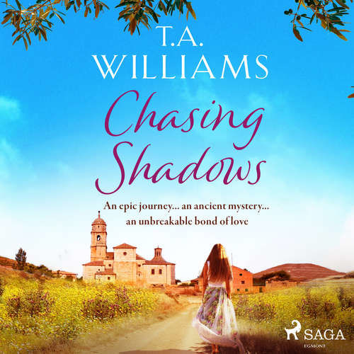 Chasing Shadows (EN) - T.A. Williams (mp3 audiokniha)