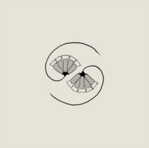 G_d'S Pee at State'S End! (Godspeed You! Black Emperor) (CD / Album)