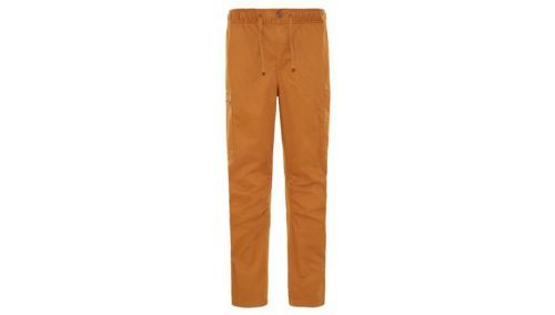 The North Face M Cargo Pant hnedé NF0A4QPGVC7