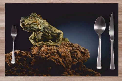 Prestieranie Leguán zelený