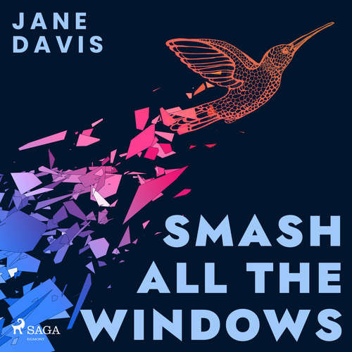 Smash All the Windows (EN) - Jane Davis (mp3 audiokniha)