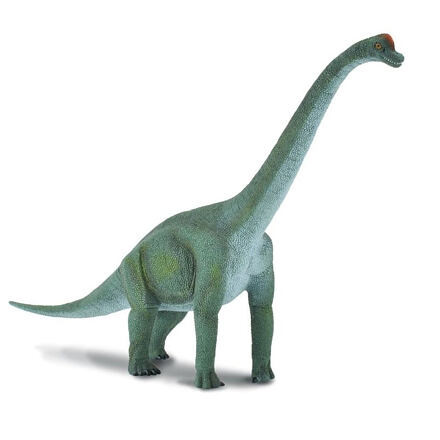 Collecta Brachiosaurus