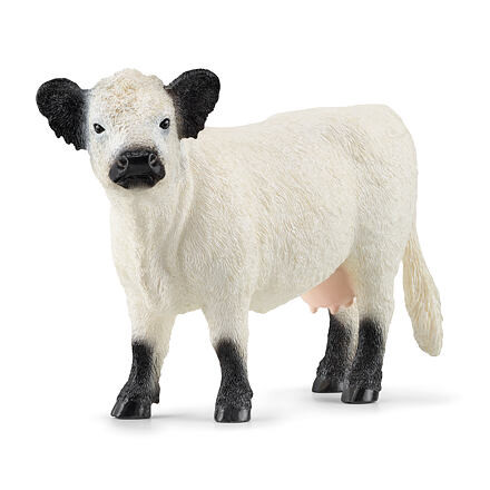 Schleich Zvieratko - Gallowayská krava
