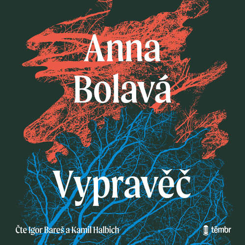 Vypravěč - Anna Bolavá (mp3 audiokniha)