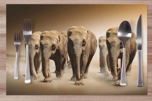 Prestieranie Stádo slonov