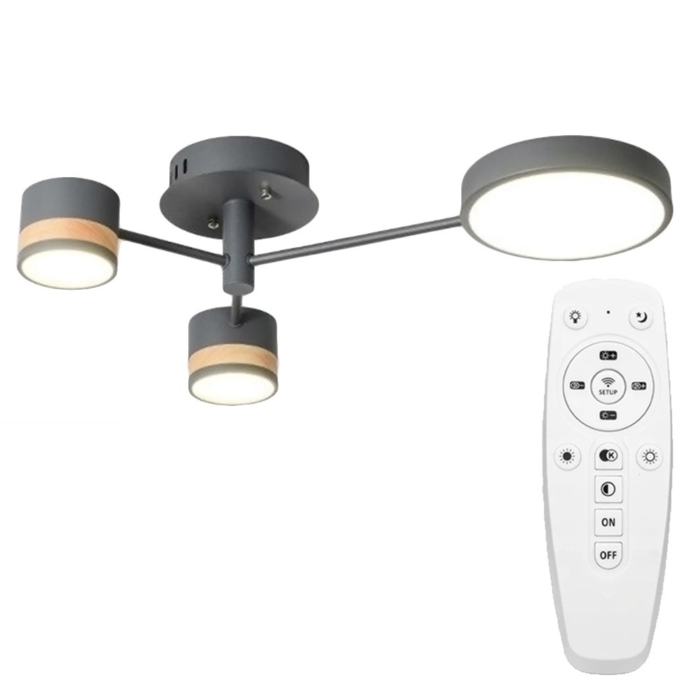 Stropní LED svítidlo na dálkové ovládání Lorein I šedé