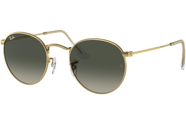 Ray-Ban Round RB3447 001/71 - S (47)