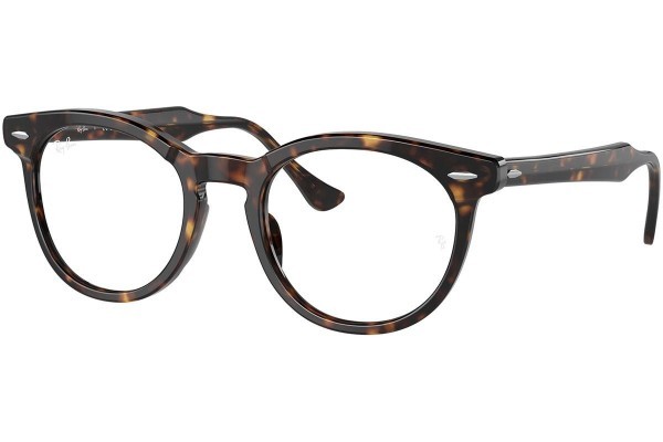 Ray-Ban RX5598 2012 - M (49)
