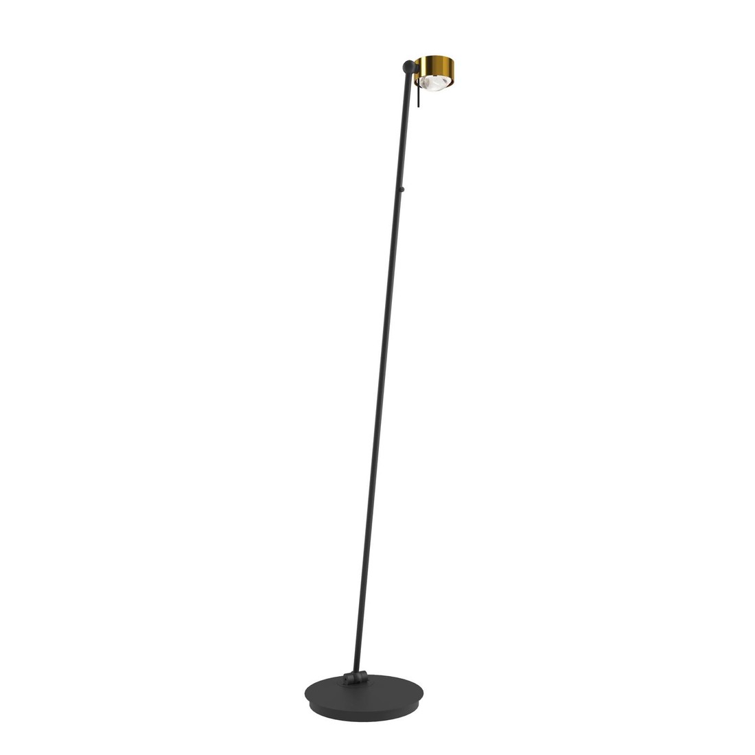 Puk! 80 Floor stojacia LED lampa mosadz brúsená