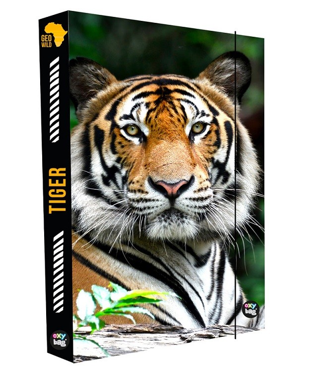 Box na zošity A4 Tiger