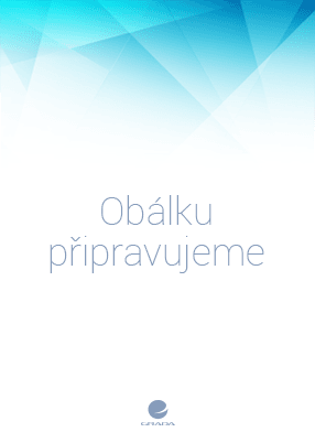 FOREX – jak zbohatnout a nekrást, Stibor Michal