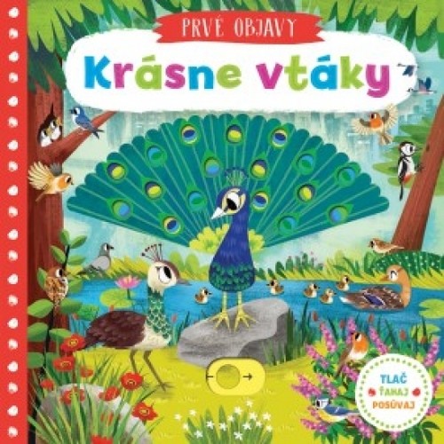 Krásne vtáky - Prvé objavy