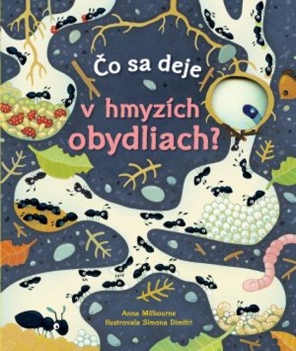 Čo sa deje v hmyzích obydliach? - Anna Milbourne,Simona Dimitri