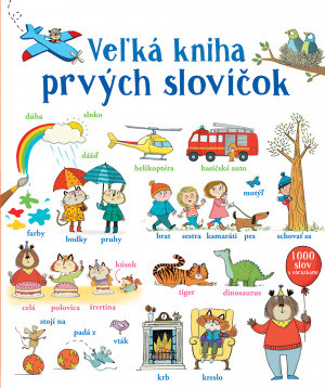 Veľká kniha prvých slovíčok - Mairi Mackinnon,Hindley Kate