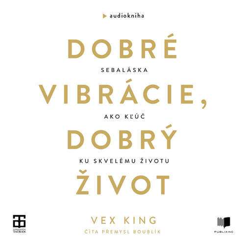 Dobré vibrácie, dobrý život - Vex King (mp3 audiokniha)