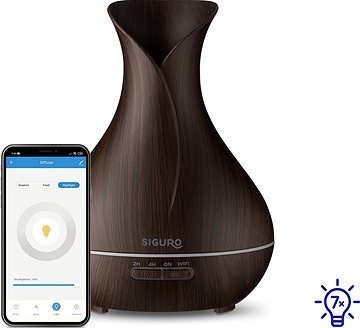 Siguro AD-R601DW Buckeye WiFi