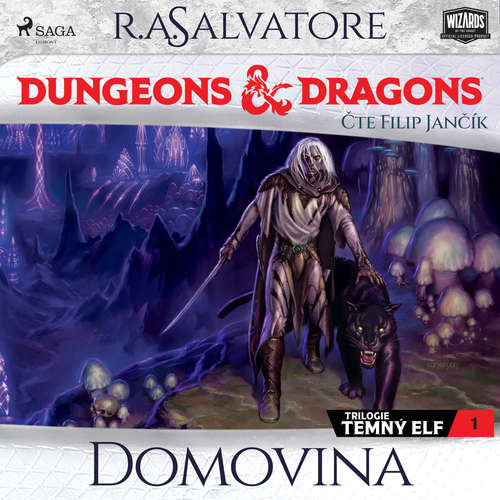 Dungeons & Dragons. Legenda o Drizztovi. Temný elf 1: Domovina - R. A. Salvatore (mp3 audiokniha)