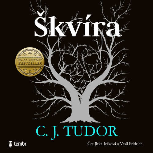 Škvíra - C. J. Tudor (mp3 audiokniha)