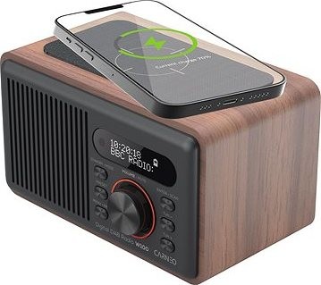CARNEO W100, wood