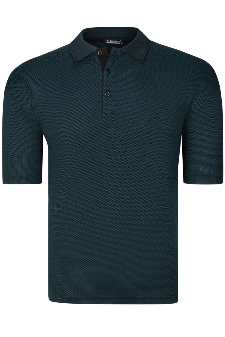 T0733 DEWBERRY