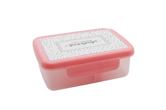 R&B Zdravá sváča box SCANDI ružová 700