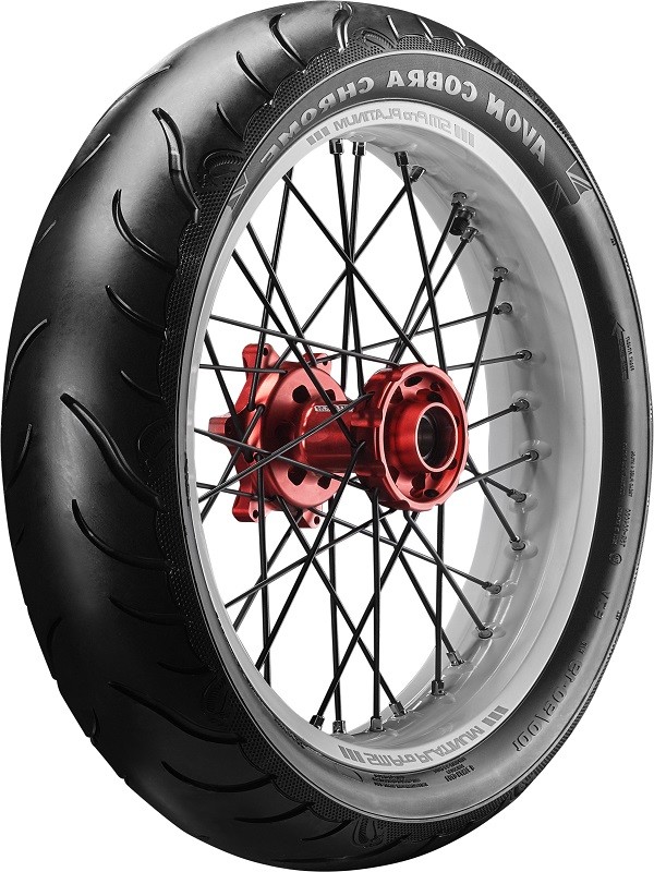 Avon COBRA CHROME 120/70 R21 68V