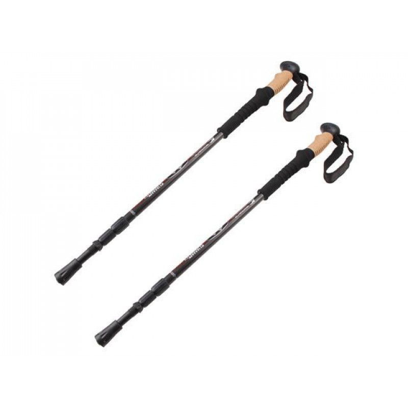Trekingové palice Nordic Walking s taškou