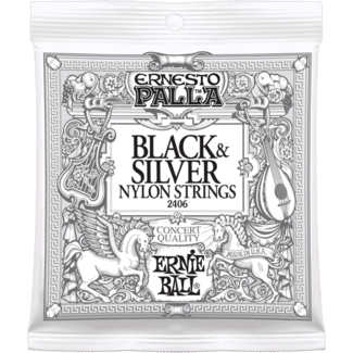 Ernie Ball Ernesto Palla Black Silver.028-.042