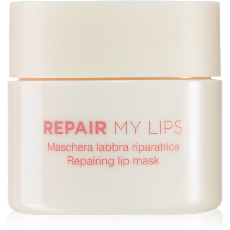 Diego dalla Palma REPAIR MY LIPS hydratačná maska na pery 25 ml
