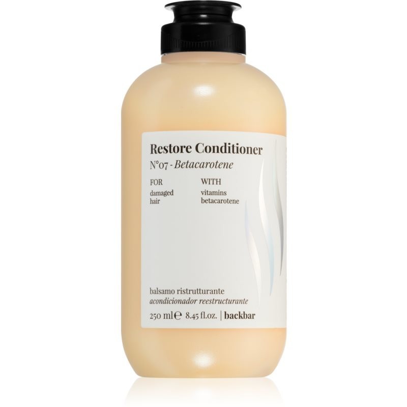 FarmaVita Backbar Restore intenzivný regeneračný kondicionér pre suché a poškodené vlasy 250 ml