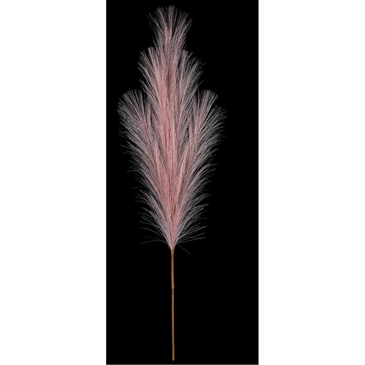 Pampas tráva, svetlofialová, 9 x 77 cm