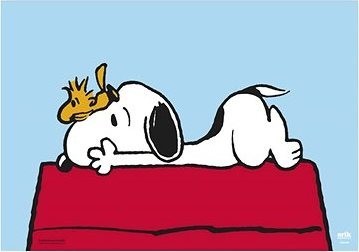 Snoopy: Doghouse – podložka na stôl