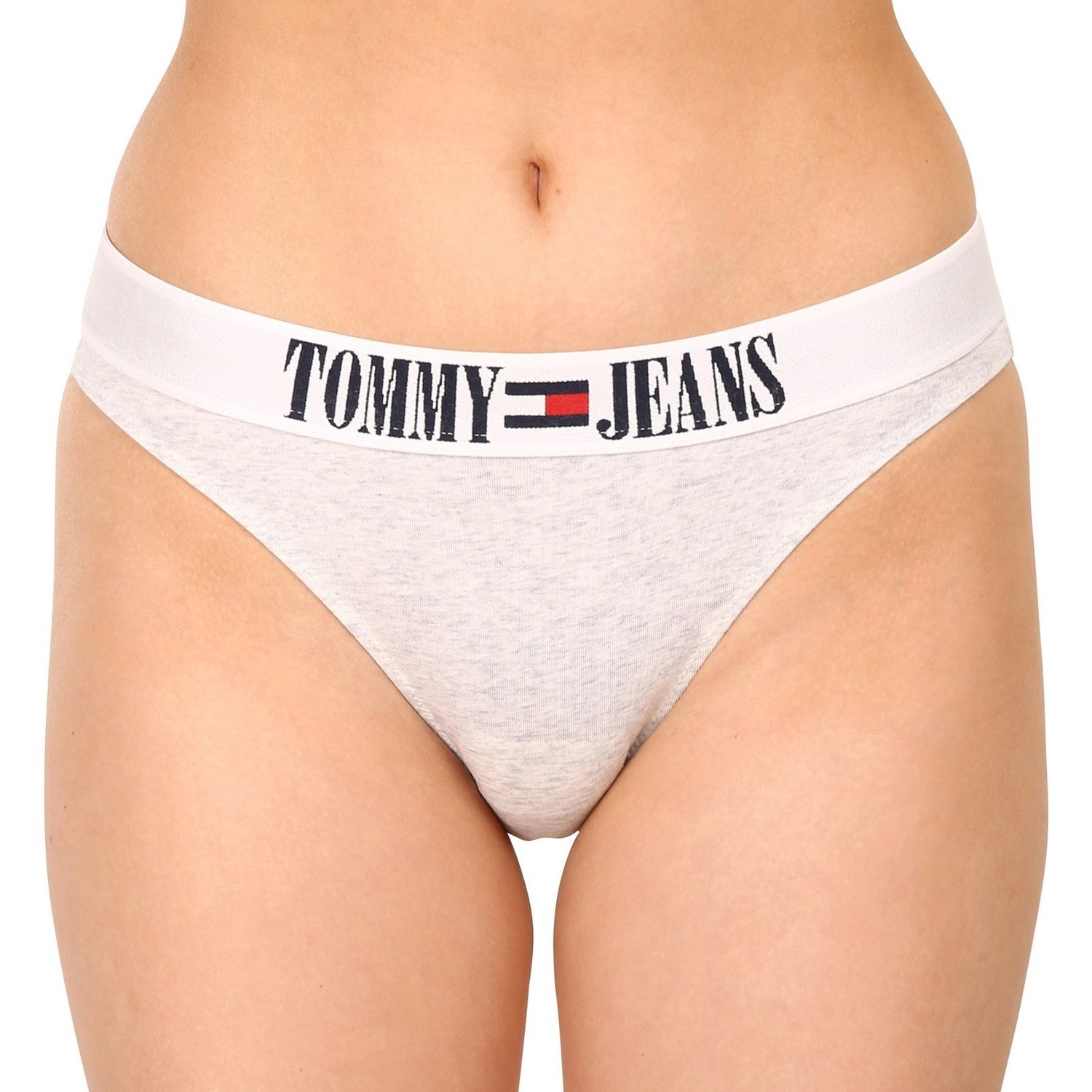 Women's panties Tommy Hilfiger gray